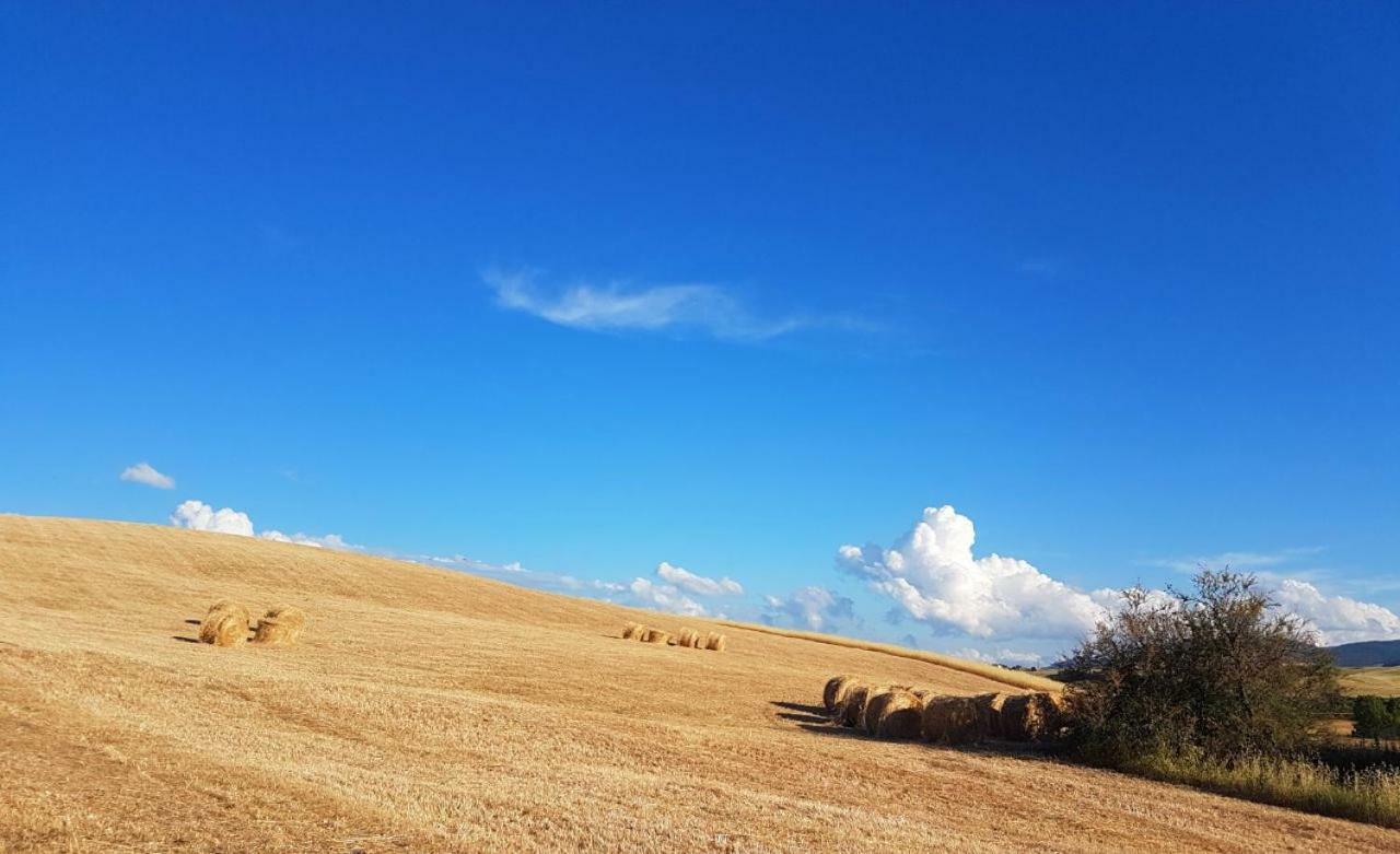 Villa Agriturismo Podere Molino Peccioli Exterior foto